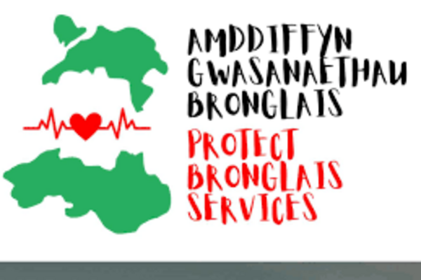 Protect Bringlais Logo for Protect Bronglais